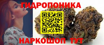 дмт Канаш