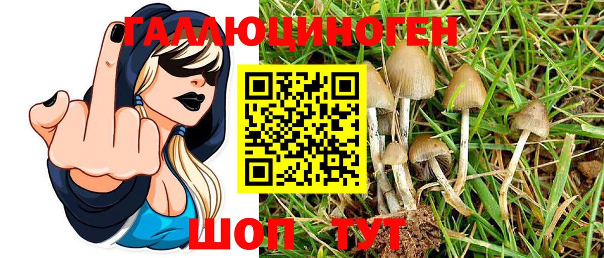 Псилоцибиновые грибы Magic Shrooms  Вход с VPN  Конаково 