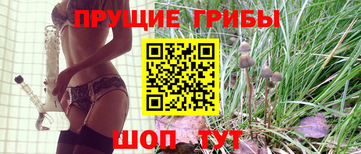 Псилоцибиновые грибы Cubensis Конаково